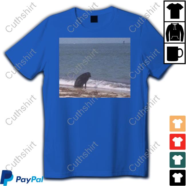 Sad Dog At The Beach Shirt